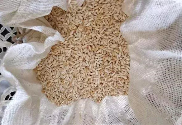 陈皮怎样放不会被虫蛀,陈皮如何防止烧皮