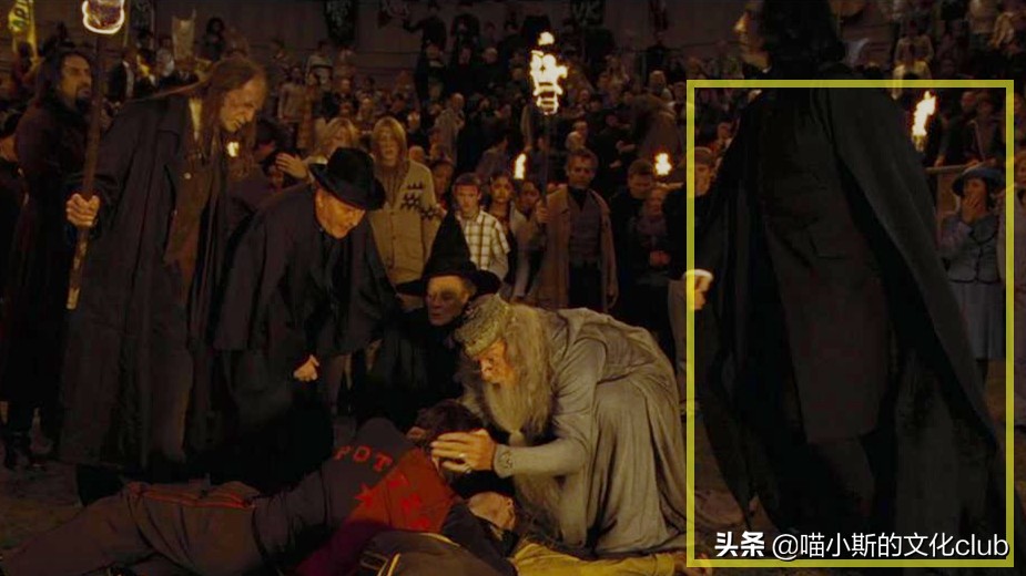 哈利波特中的斯内普和波特冷知识,哈利波特哈利对斯内普评价