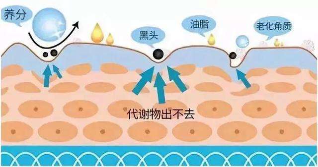 赵薇情深深雨蒙蒙重聚,情深深雨蒙蒙演员今昔对比赵薇