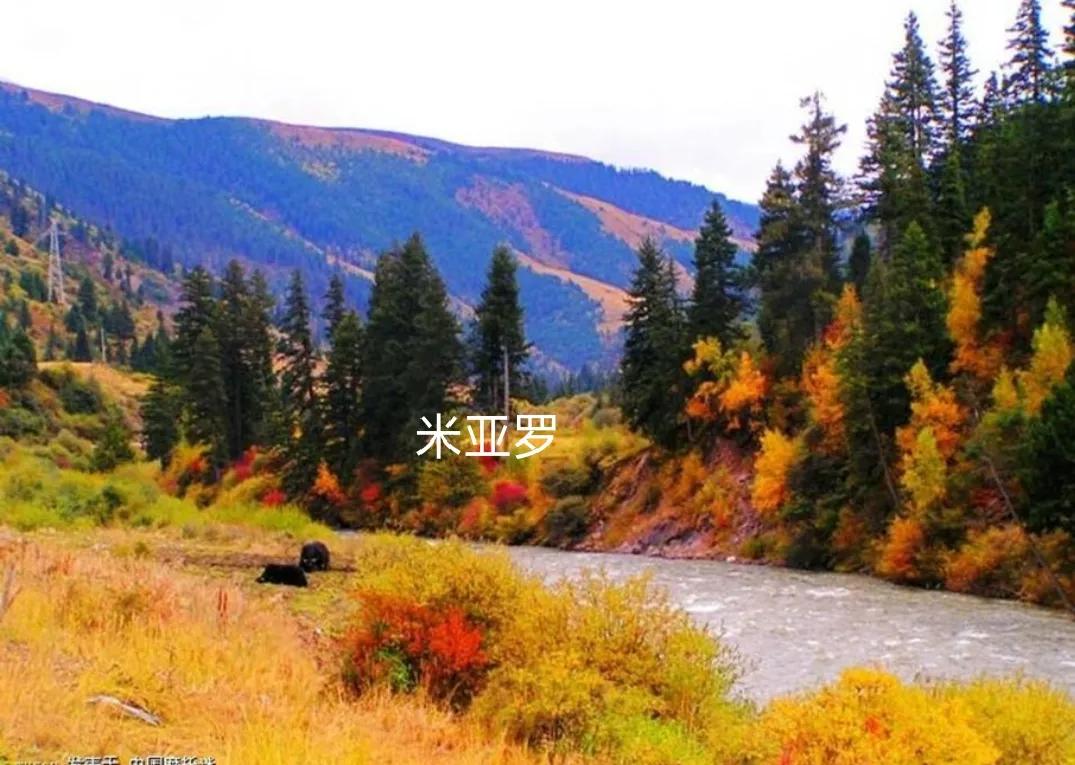 四川阿坝州阿坝县的景点,阿坝县藏着中国绝色风光