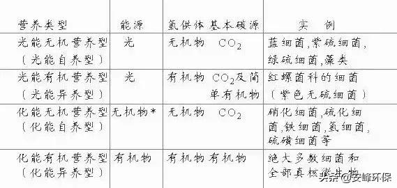 自养异养和好氧厌氧的区别,自养和异养需氧厌氧