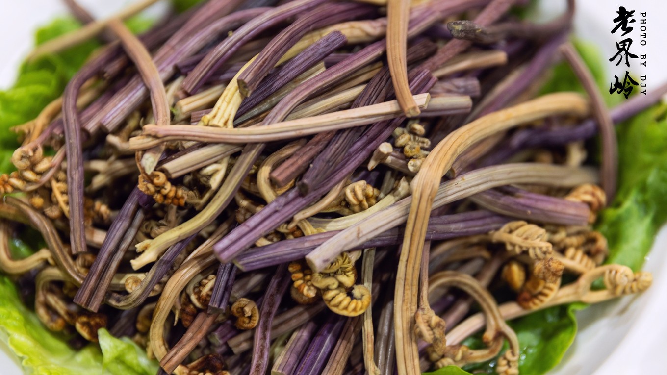 游览老界岭的感悟,河南老界岭景区