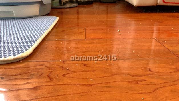 铲屎官秘密*器武**--带主动刀片切割毛发的顺造Z15Pro评测