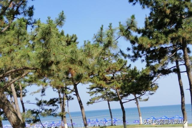 万米金沙滩风景,万米沙滩金沙滩