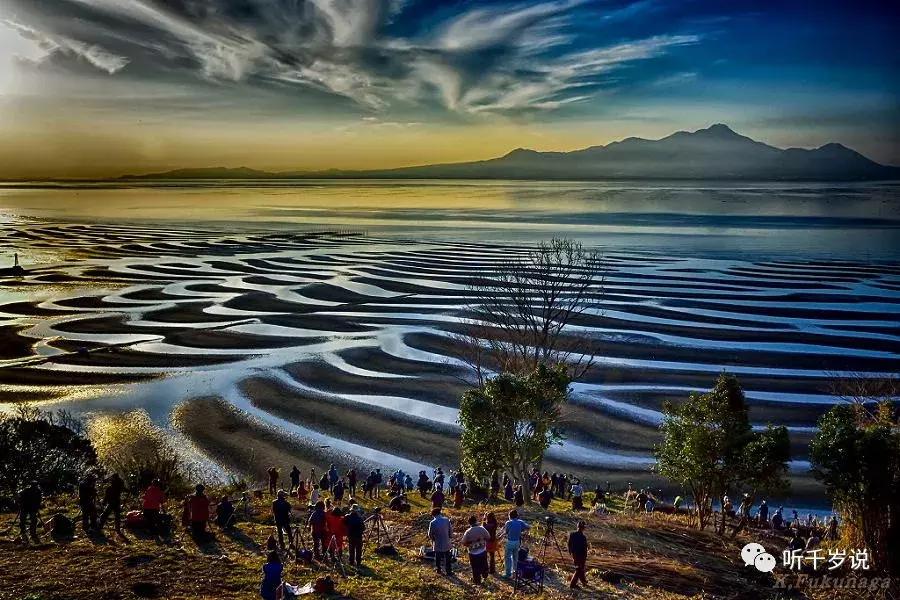 日本东京熊本熊,日本熊本游