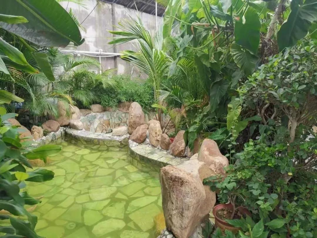 吃喝玩乐泡温泉99元20小时,99元免费旅游泡温泉