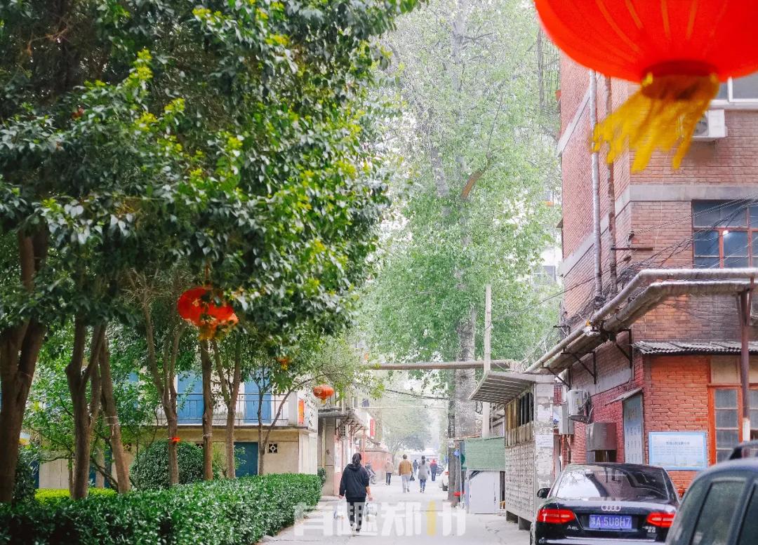 纬一路：在遮天的法桐里想起龙门书店的往事，以及家属院时光……