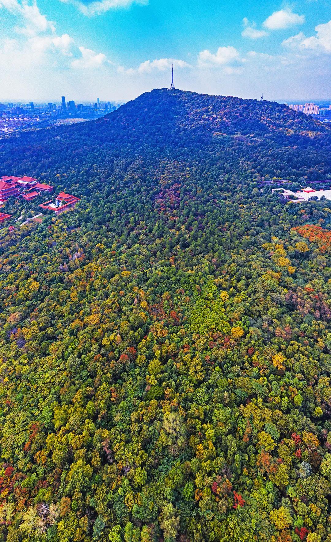 合肥融创茂宝藏秘境,合肥宝藏地