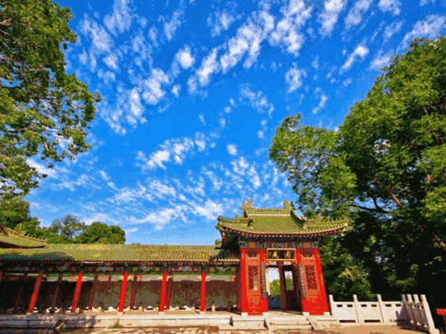 都闪开！这才是最牛逼的菊花宝典