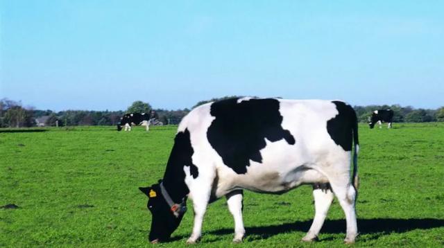 好纠结不知道给宝宝喝哪款奶粉,怎么知道宝宝喝的奶粉是否适合