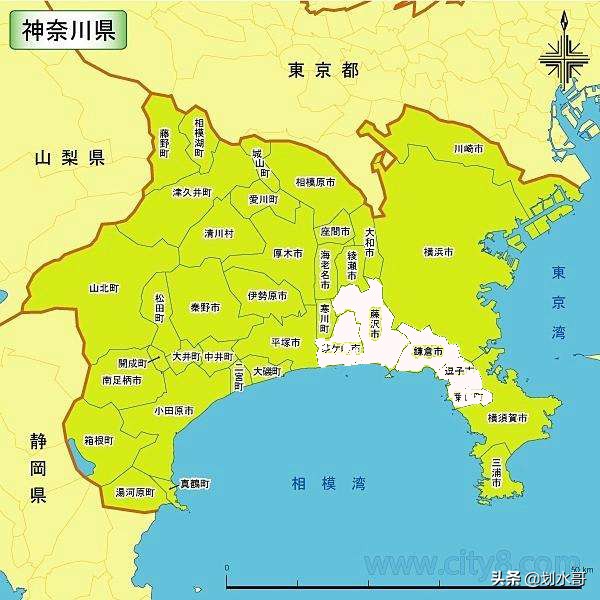 灌篮高手中的故事发生在哪个学校,灌篮高手樱木的故事