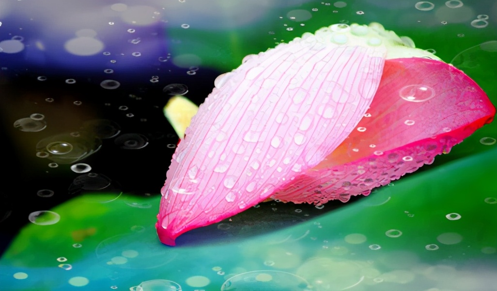 心直口快为什么没人缘,心直口快原来是一种愚蠢