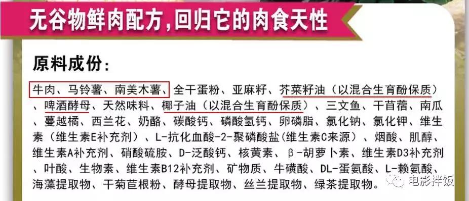 新手养猫养什么猫又便宜又好养,新手养猫第一天猫咪害怕怎么办