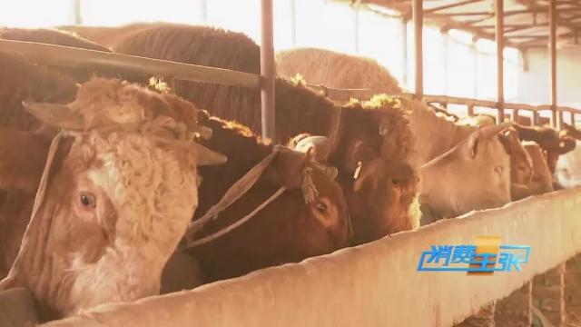 牛肉批发价最新价格,牛肉价格补贴最新消息