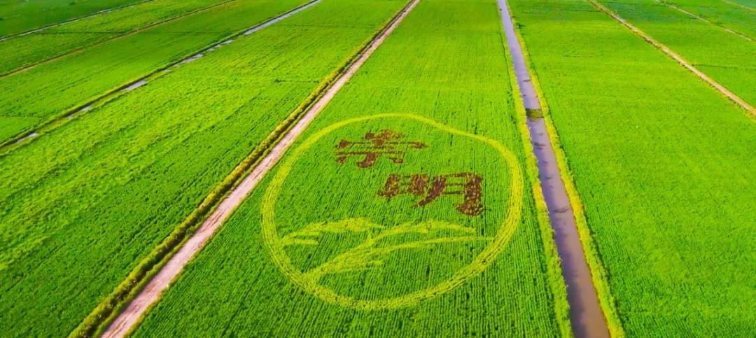 一座城，十六个区，4分20秒带你看航拍上海！