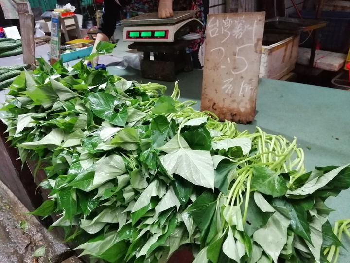 广西南宁青菜价格表,南宁现在的水果