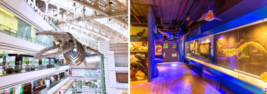 广州天河区正佳广场现状,现代启示录工厂店