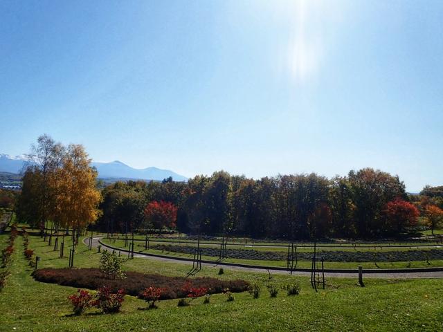 北海道登别到美瑛町需多久,日本北海道美瑛川的雪景