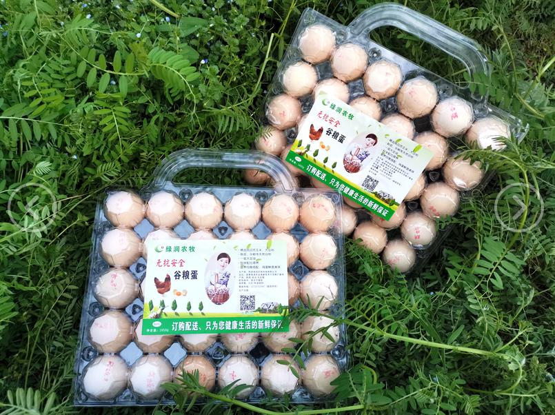 农业产业孵化,走进乡村看小康贵州