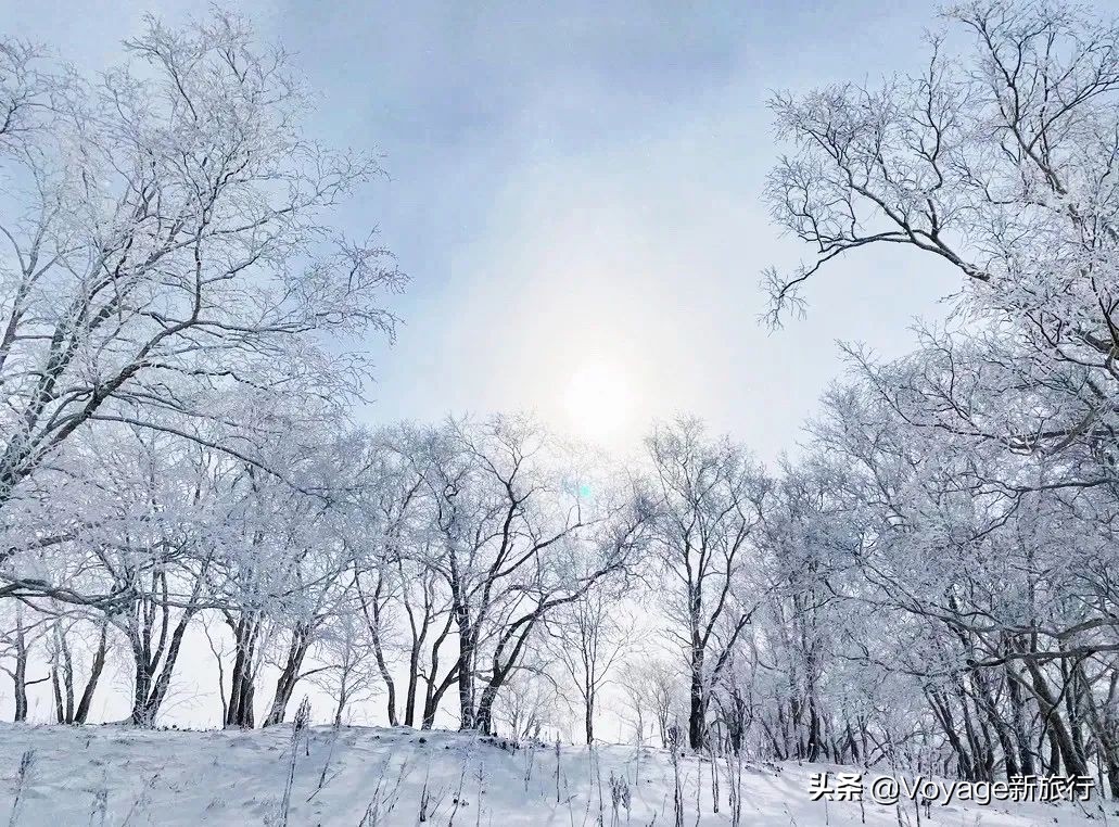 挑战21世纪最低温！我们为你盘点了比“泼水成冰”更美的冬日限定
