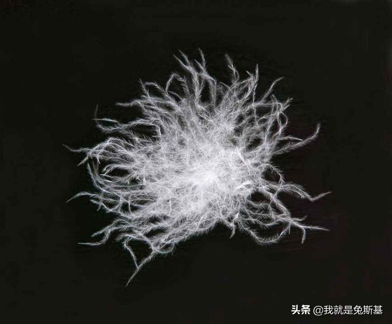 为什么羽绒服里面穿得少反而暖和,冬天穿上厚厚的羽绒服是什么感觉