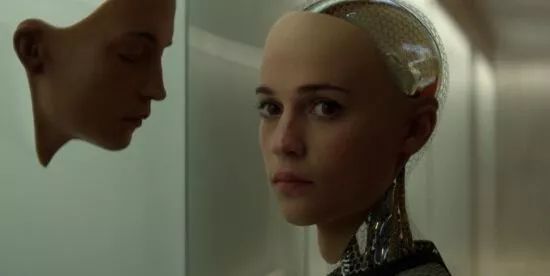 单身汪过年指南,单身狗不容错过的冷知识