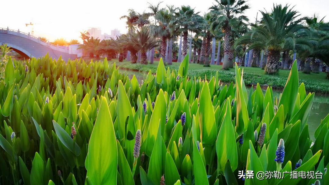 弥勒美食推荐离湖泉景区最近,弥勒五彩云池风景区