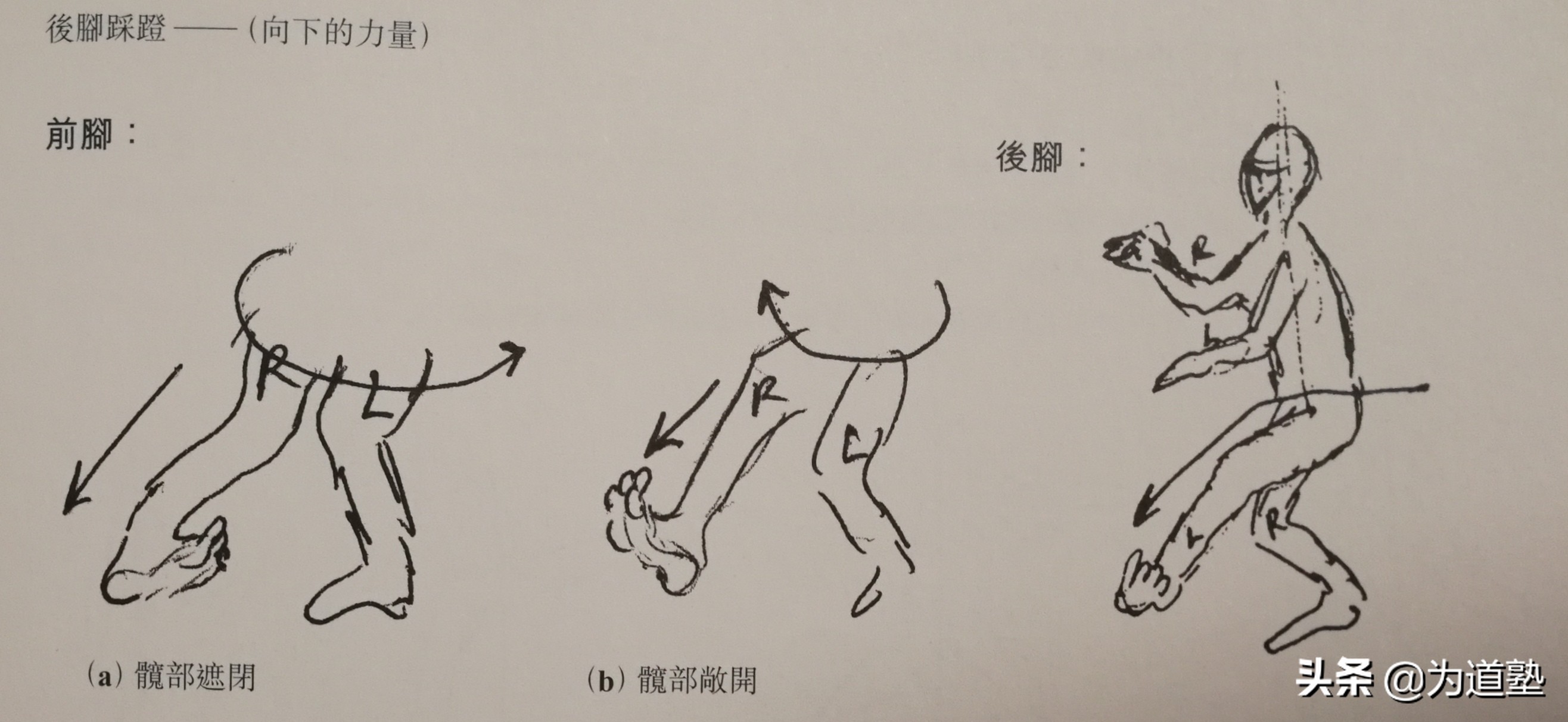 为道塾李小龙,为道塾李小龙龙争虎斗图集