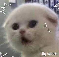 不含酒精的化妆品,不含酒精的化妆品有哪些品牌