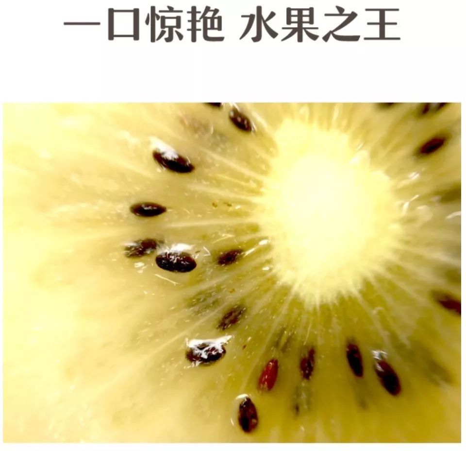 生鲜果蔬配送商城长春,全球顶级水果生鲜配送