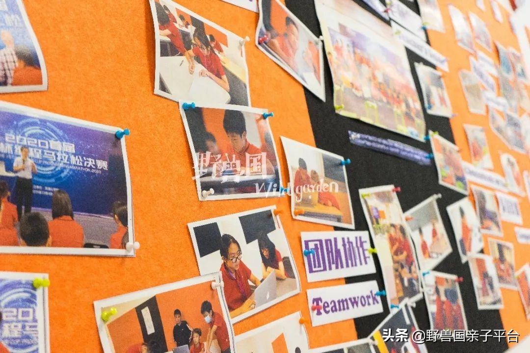 一年20万学费的清澜山学校,都在学些什么?