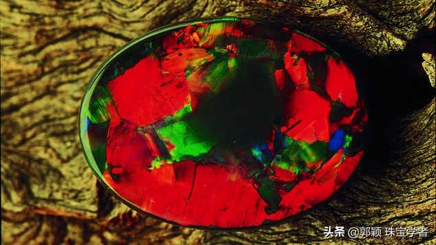 宝石欧泊讲解,宝石和欧泊的区别