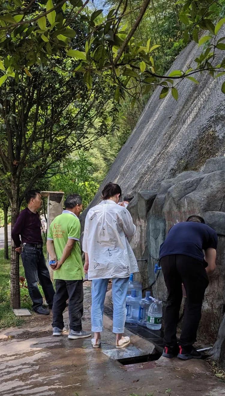 天岛湖国际旅游度假区怎样,天岛湖国际养生避暑度假区