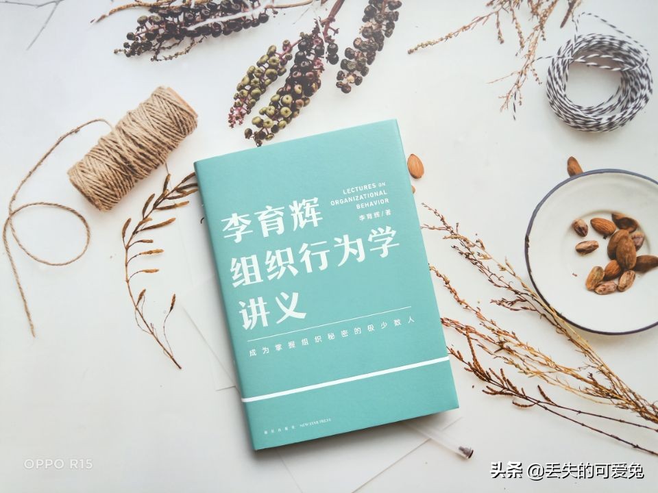 有趣的团体活动策划方案,有趣的组织名称大全