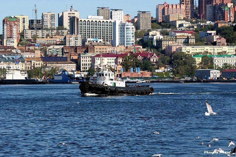 符拉迪沃斯托克是俄罗斯的吗,符拉迪沃斯托克是谁命名的