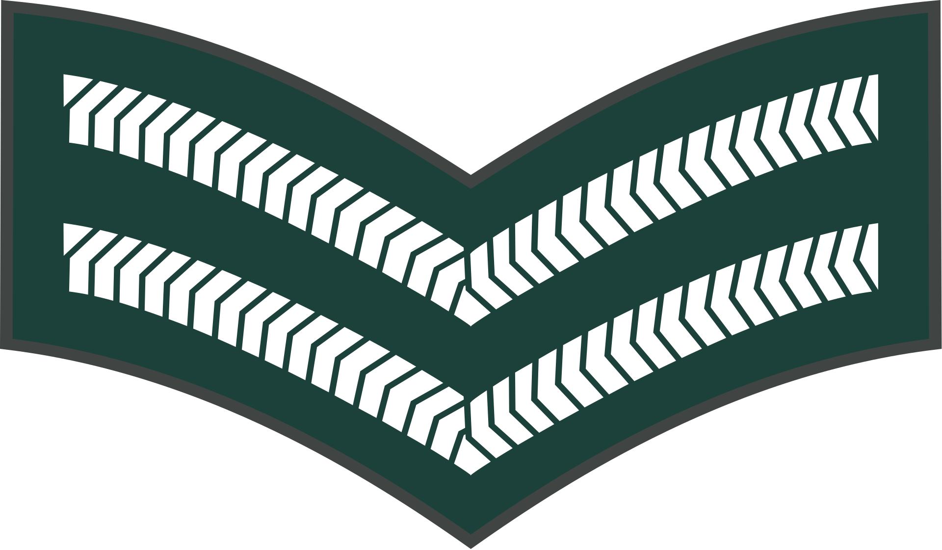 西亚各国军衔,各国军衔标识坦桑尼亚