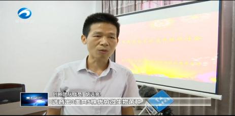 产值近5000万！湖北“超牛”团队攻克关键技术，获4部门联合表彰