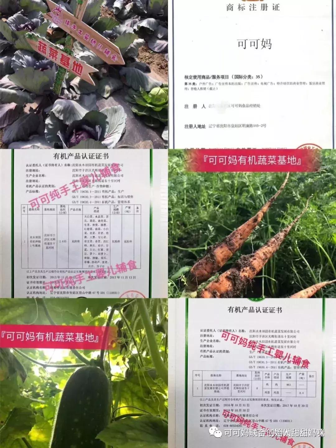 可可妈纯手工辅食代理政策,可可妈手工辅食加盟官网