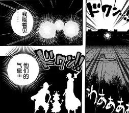 海贼王中有哪些令人赞叹的设定,海贼王三种霸气设定