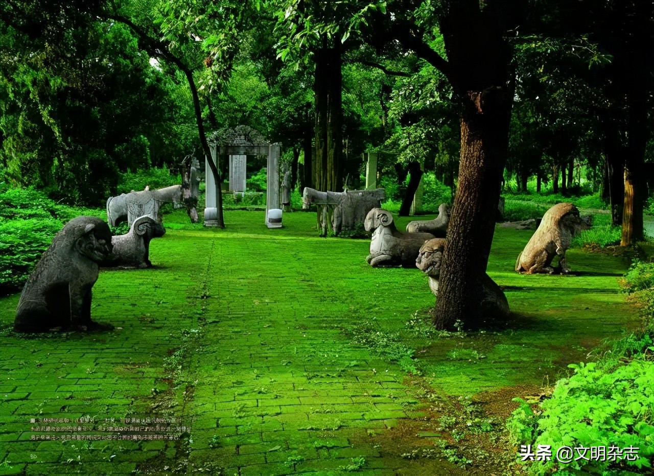 瀛旀灄瀹惰氨,瀛旀灄瀹惰氨瀛楄緢澶у叏