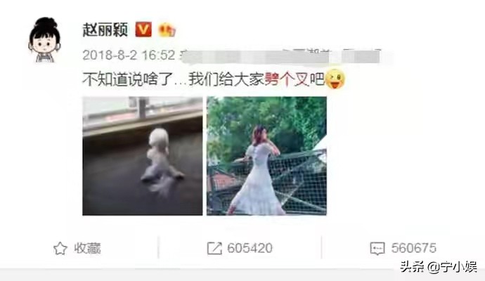 盘点6对没有自己孩子的明星夫妻,盘点明星夫妻年龄悬殊的4对