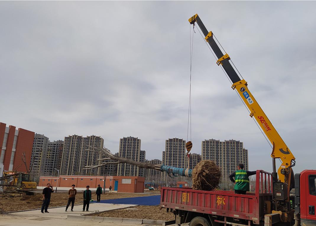 四月份园林植物病虫害防治,五月份园林病虫害防治科普百科