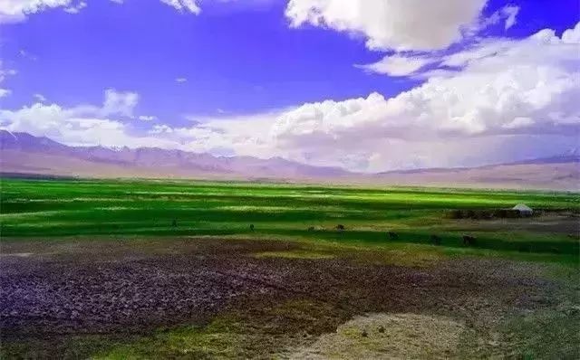 新疆喀什到巴基斯坦需要怎么过去,喀什通巴基斯坦公路