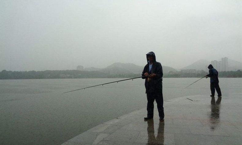 最有效提高中鱼率的钓组,上鱼最容易的抛竿钓组