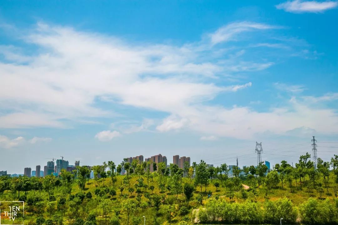 武汉最新的好消息,武汉近期好消息