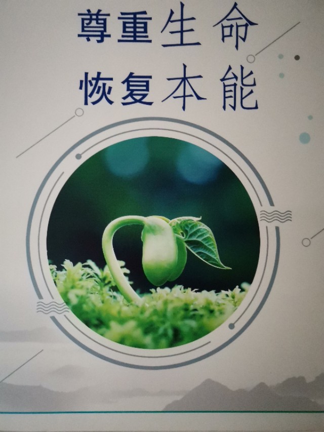 有肾病长期失眠怎么治,得了肾病失眠更严重怎么办