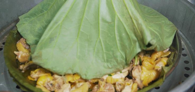 超有鸡味的阳山鸡,广东阳山鸡口感如何