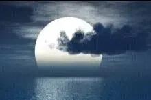 本是小家碧玉,受淫道鼓惑扯旗起事,祸倚福至,身首异处谁能断料