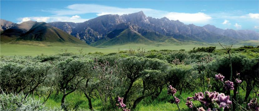 天峻风景美图集,天峻旅游排行