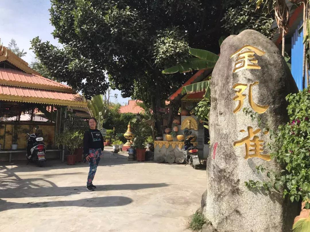 来姐告口岸体验一把非一般的跨境“网”商